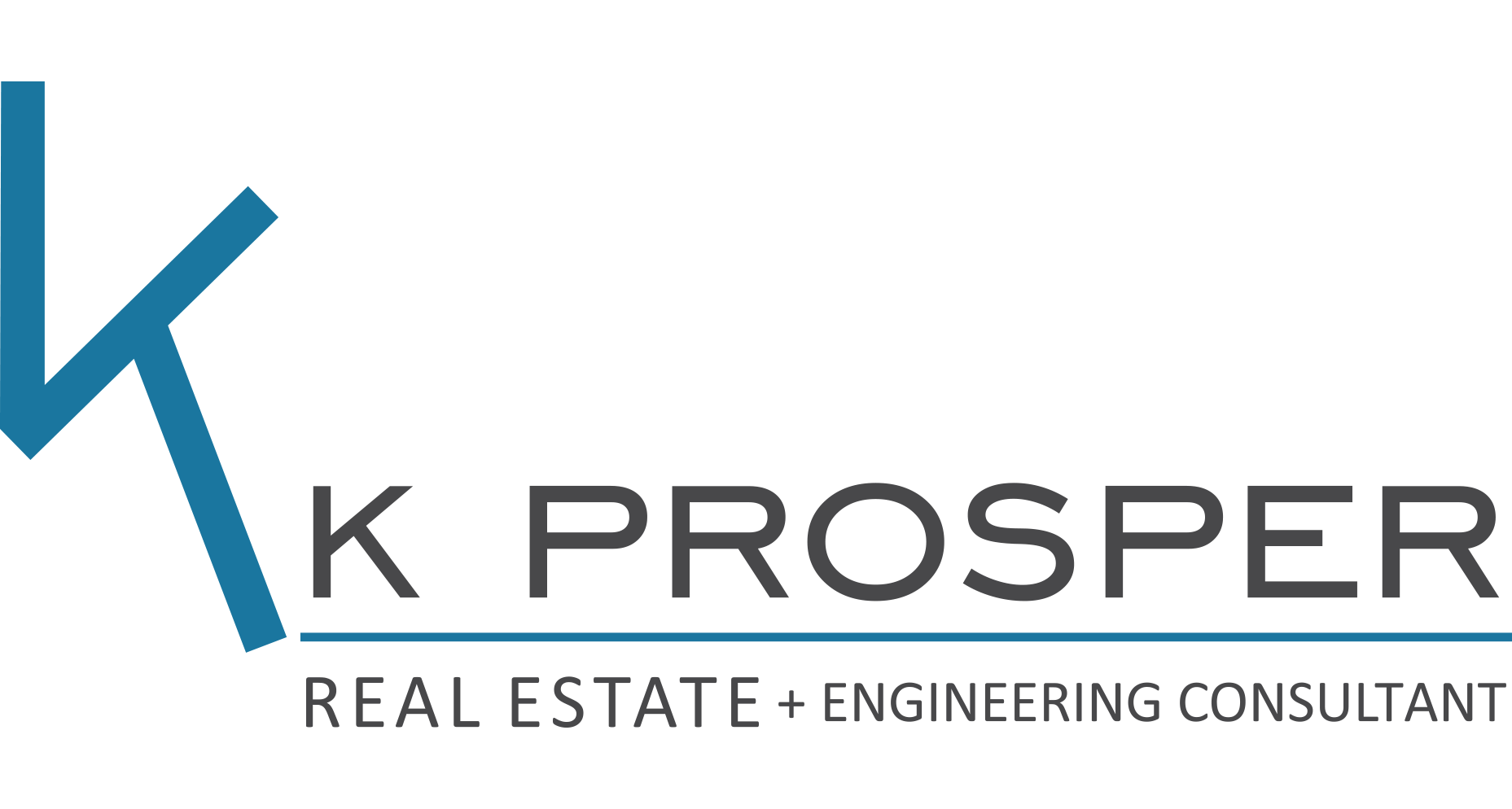 website logo